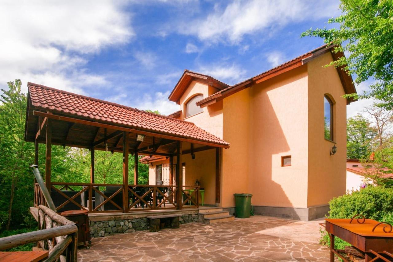 Dilijan Dream House! 3 Bedroom Amazing Villa In National Park! Luaran gambar